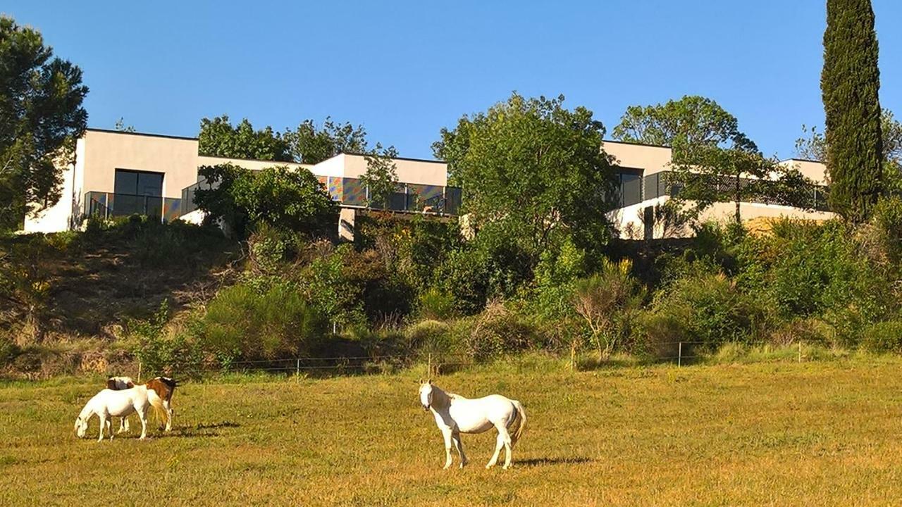 Villa Piscine Sud France Verzeille Bagian luar foto